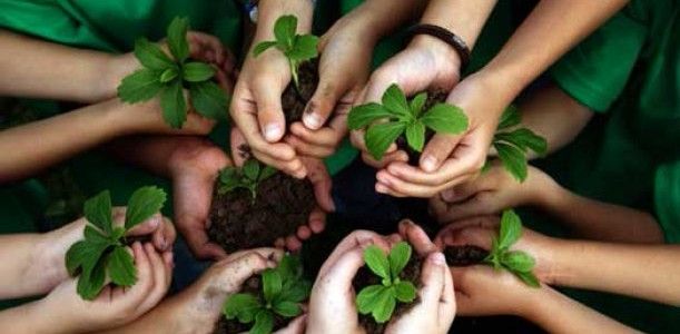 Inizio del servizio civile in agricoltura